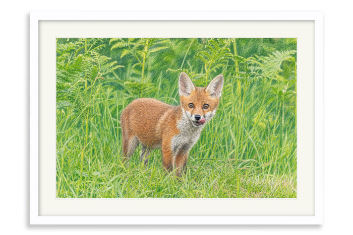 White Frame A4 -  21 x 29.7 cm (+£125.00)